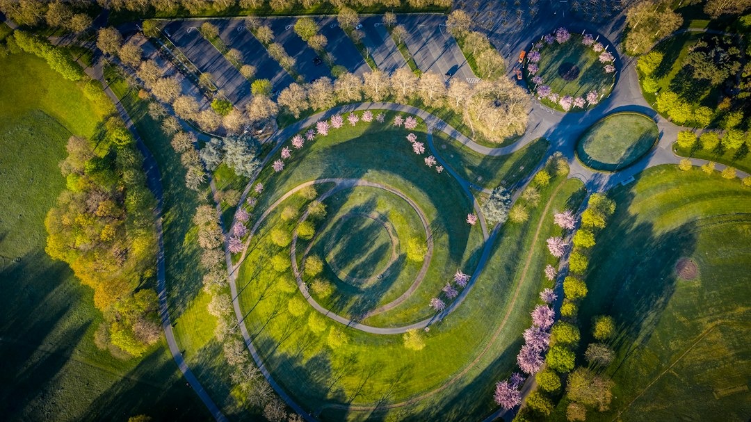 A park with winding paths and flowering trees.
